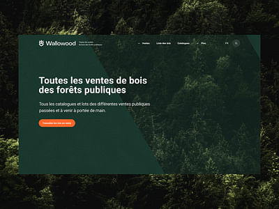 Wallowood - Image de marque & branding