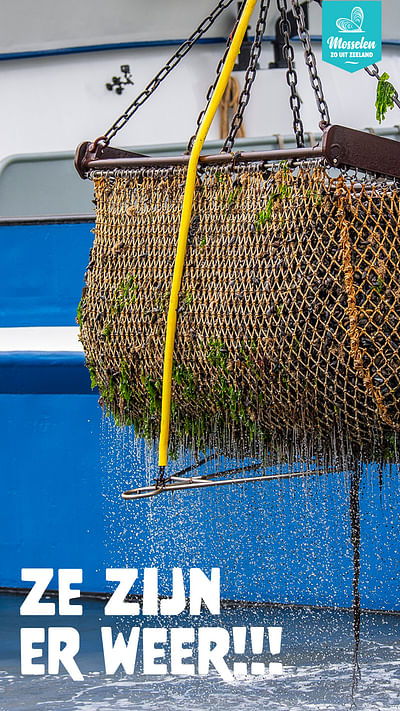 Dutch Mussel Office: A Tasty Season Kickoff - Content-Strategie