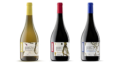 VINE ROOTS | The memory of the terroir - Branding & Positioning