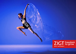 ZIGT Media & Performance