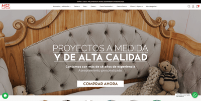 Ecommerce Website Development & RRSS Strategy - Social Media