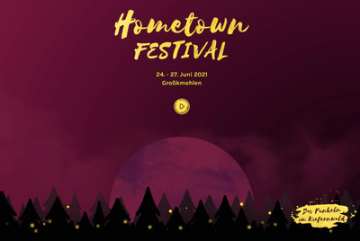 Website Design für regionales Musikfestival - E-Commerce