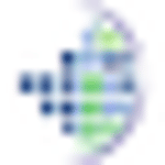 Mesoft Business Solutions L.L.C.