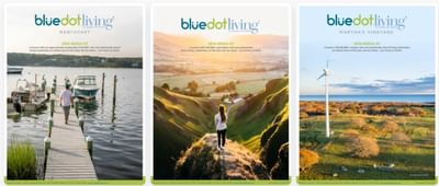 Marketing strategies to reach sustainable brands - Markenbildung & Positionierung
