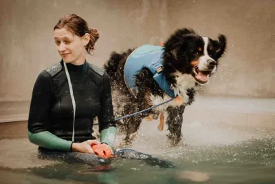 Online Reservatie van Dog Pools - Web Applicatie