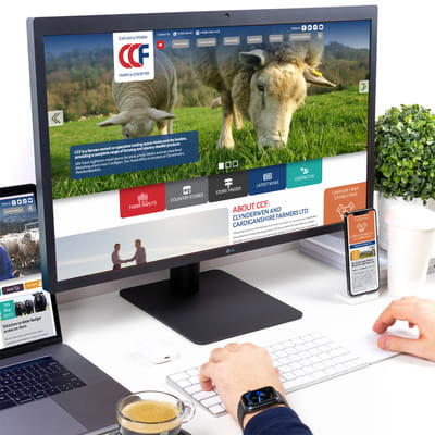 Website Design for CCF - Website Creation