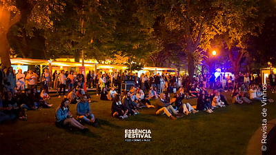 Essencia Festival - Promotional Website - Ontwerp