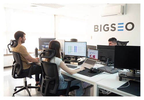 BIGSEO cover