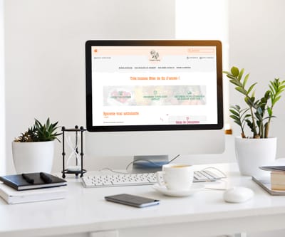 Site e-commerce Thérèse et Janine - Stratégie digitale