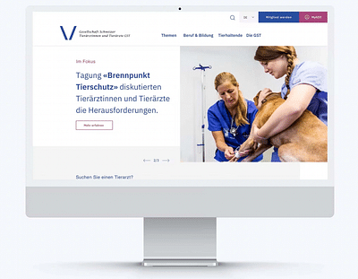 Online platform Association of Swiss Veterinarians - Grafikdesign