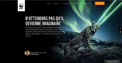 WWF - Création de site internet