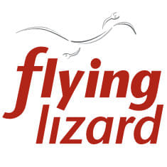 Flying Lizard