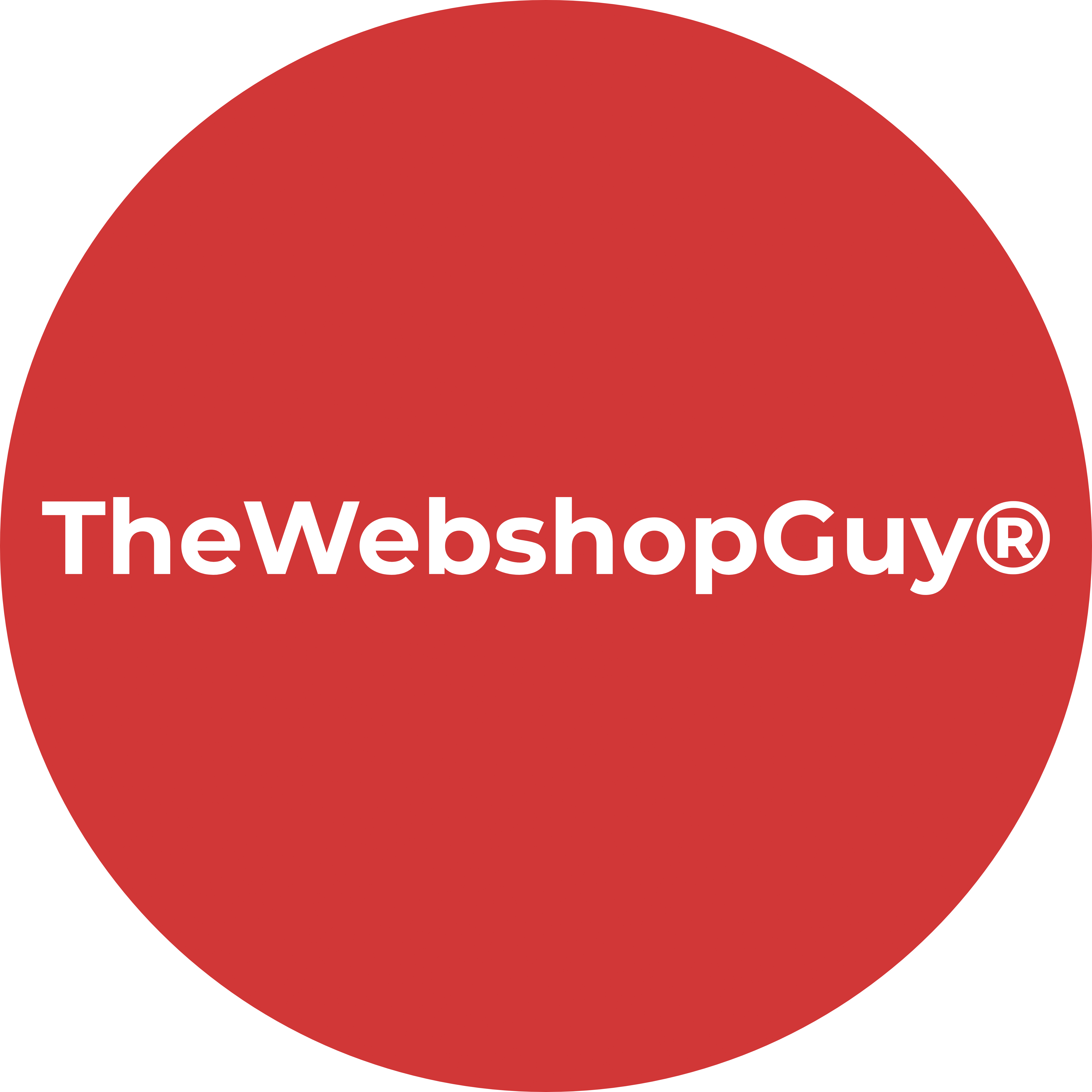 thewebshopguy.com