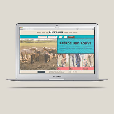 Rebrand und Relaunch der Büdl’farm - Identidad Gráfica