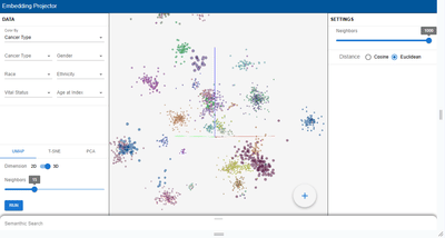 Epiverse Projector - Genome Visualization - Software Development
