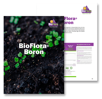 Bioflora - Branding y posicionamiento de marca