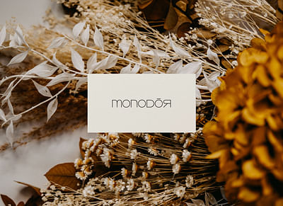 MONODOR - Brand strategy - Digital Strategy