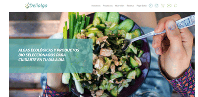 Desarrollo página web Delialga - Creación de Sitios Web