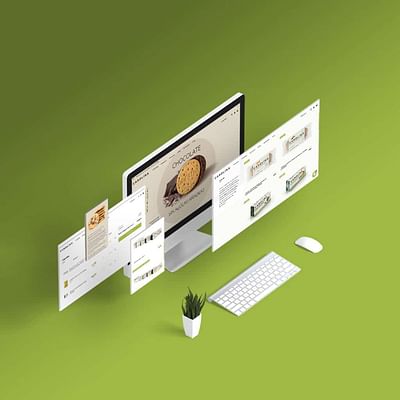 Diseño e-commerce para Carolina Honest - Website Creatie