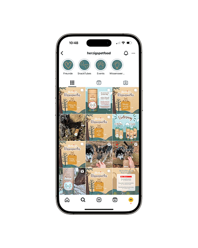 Print & Social Media - Print