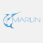 Marlin Web Design Services