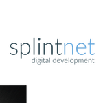 splintnet- digital development logo