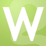 Webigi Digital Systems logo