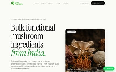 Good Mushroom brand website - Website Creation