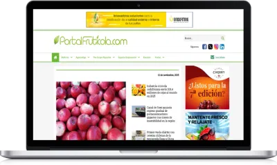 ¿Puede un medio online superar el efecto AI Overview? - Estrategia digital