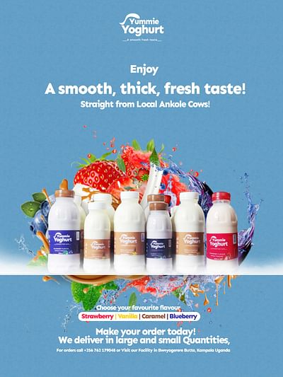 Social Media Ads & Branding for Yummie Yoghurt - Webseitengestaltung