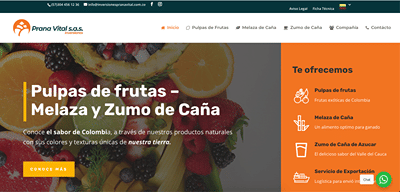 Diseño Página Web Inversiones Pranavital - Website Creation