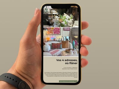 Création d'un site web pour des magasins de décoration - Creación de Sitios Web