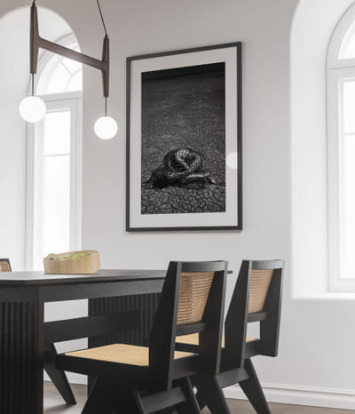 The Fine Art Print - Image de marque & branding