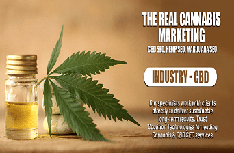The Real Cannabis Marketing - Webseitengestaltung