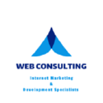 Web Consulting Agency