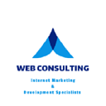 Web Consulting Agency