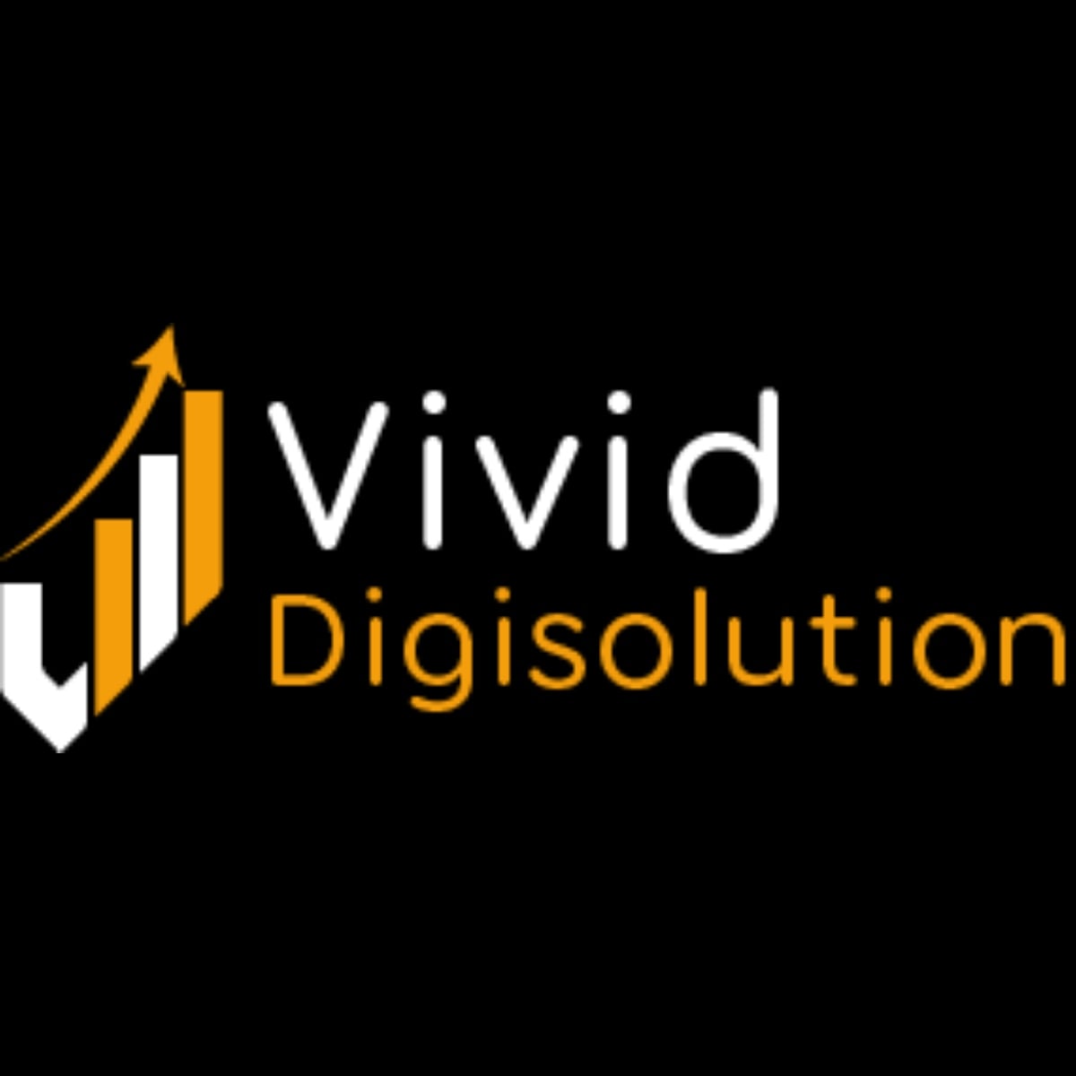 Vivid Digisolution