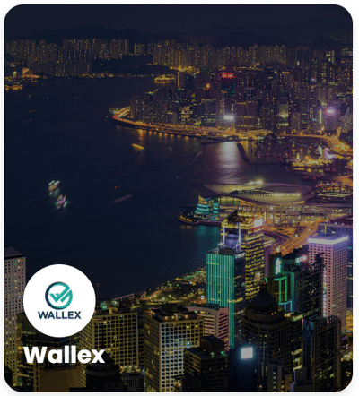 Development for Wallex Payment Platform - Creación de Sitios Web