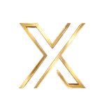 100x Mentality srl logo