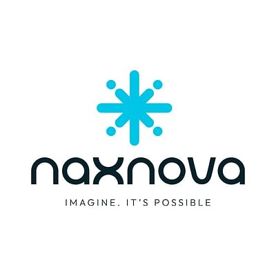 Global Reach for Naxnova via Website Development - Website Creation