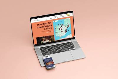 COLISÉE I Desarrollo web y Paid Ads - Creación de Sitios Web