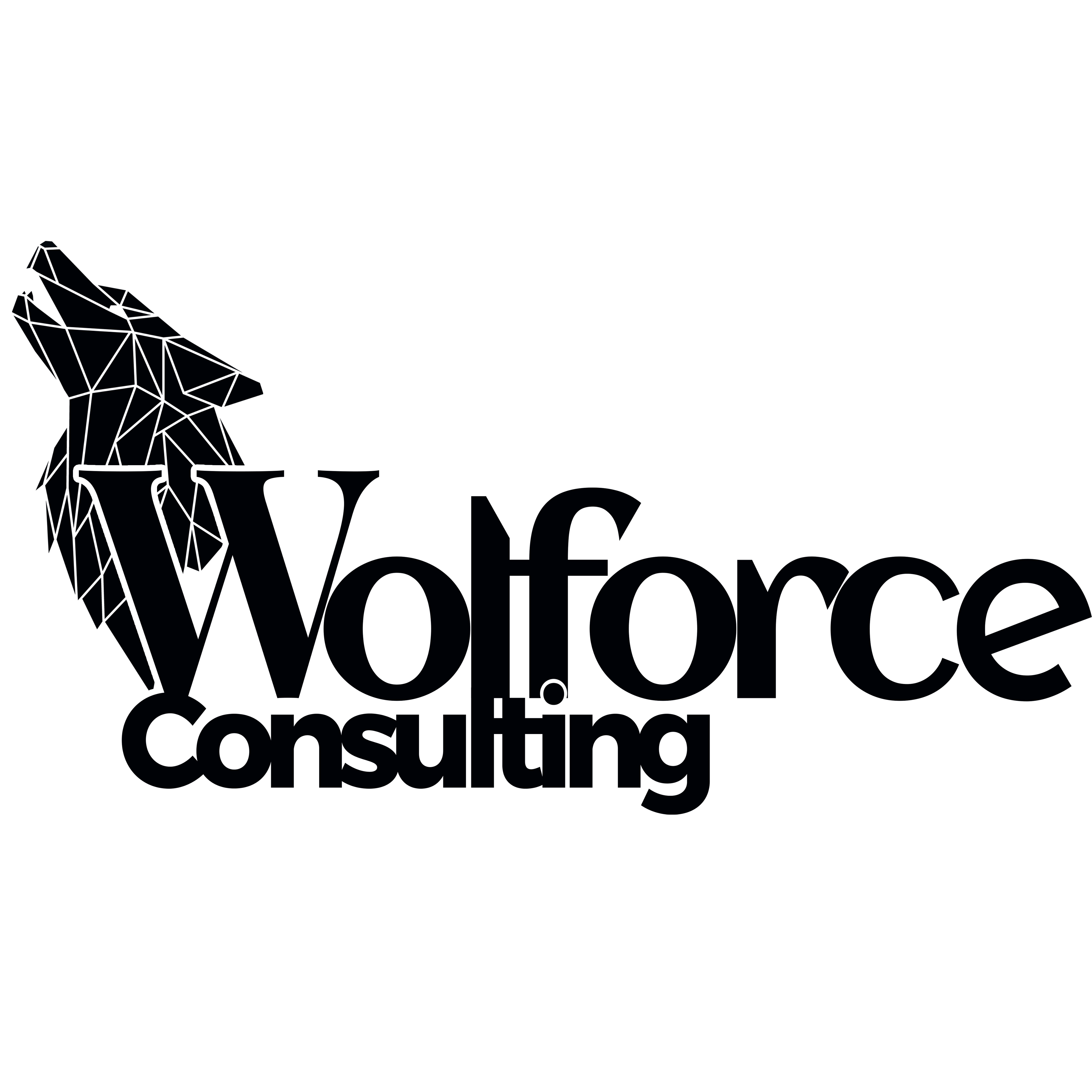 Wolforce Consulting