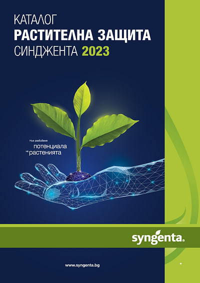 Marketing and advertising management of Syngenta - Online Advertising