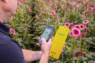 Koppert Natutec Scout App & Platform - Ergonomie (UX / UI)