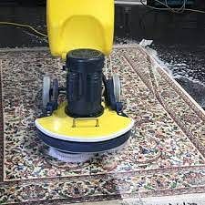 Professional Carpet Cleaners You Can Trust - Evento