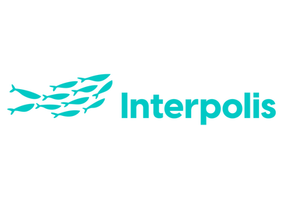 Workflow for change request Interpolis website - Digital Strategy