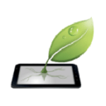 Green Grow Apps SL, Desarrollo web y de Software logo
