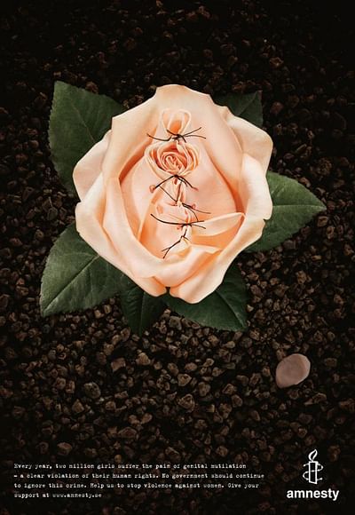 Apricot Rose - Reclame