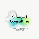 Siboard Consulting logo