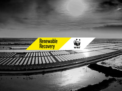 WWF - Renewable Recovery Campaign - Branding & Positionering